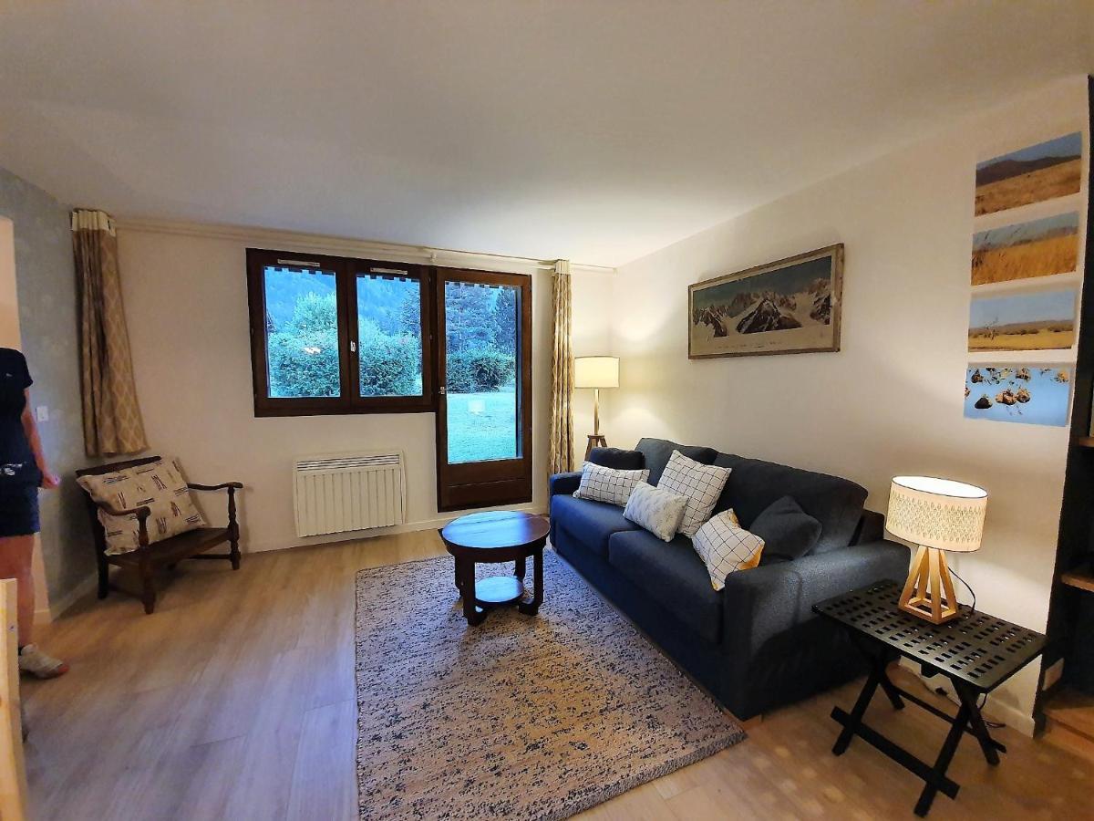 Chamonix Appartement Vue Mont Blanc Avec Jardin 外观 照片