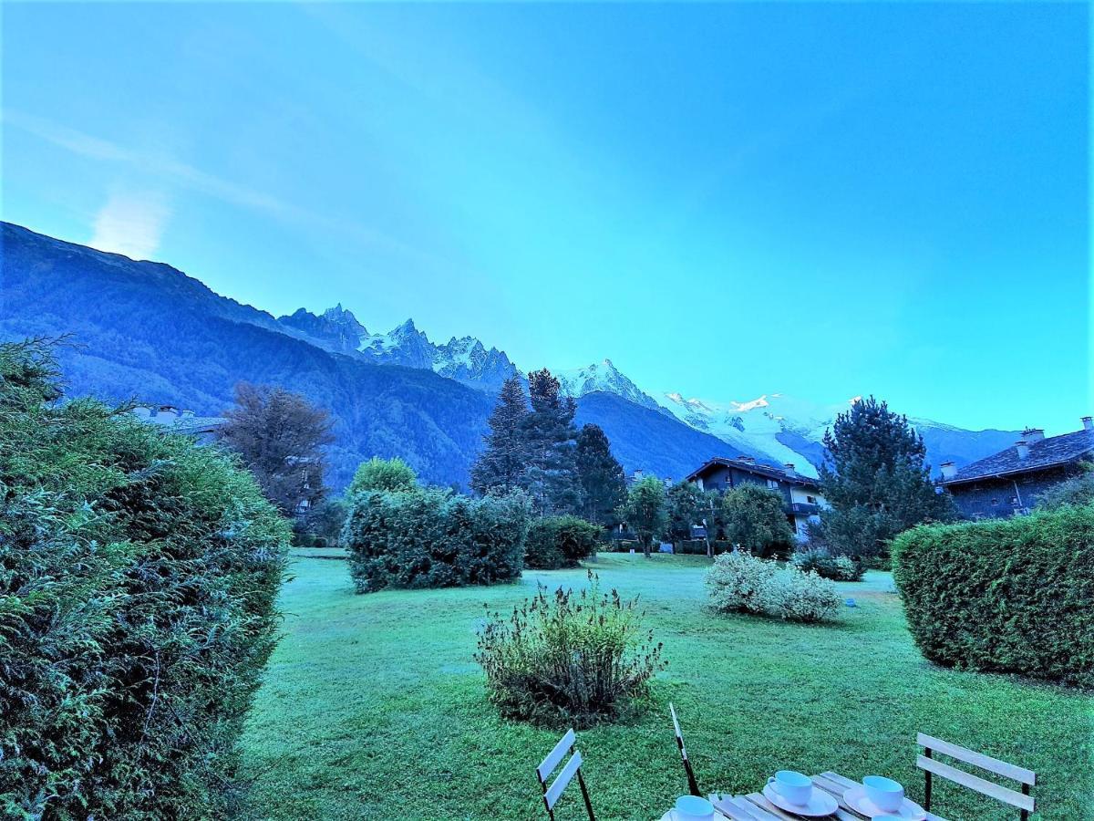 Chamonix Appartement Vue Mont Blanc Avec Jardin 外观 照片