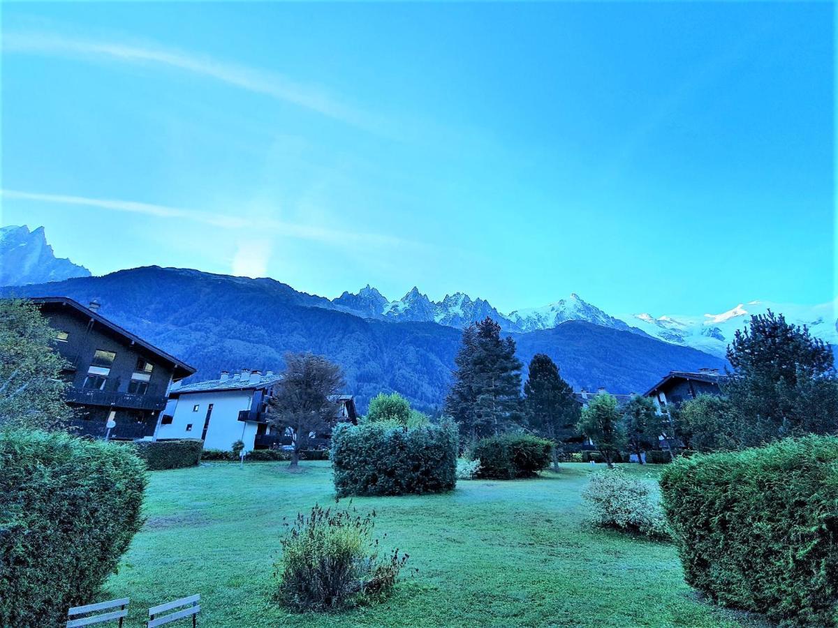 Chamonix Appartement Vue Mont Blanc Avec Jardin 外观 照片