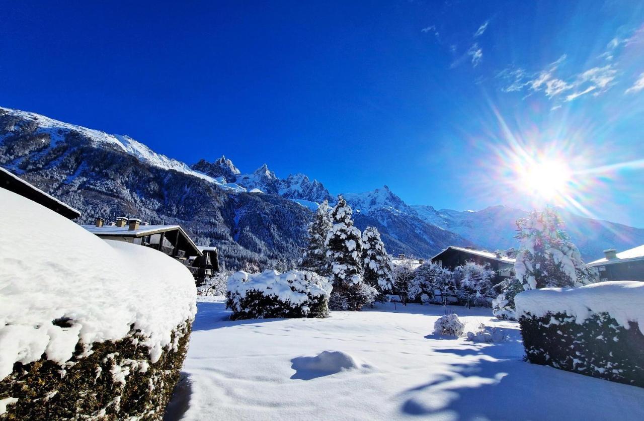 Chamonix Appartement Vue Mont Blanc Avec Jardin 外观 照片