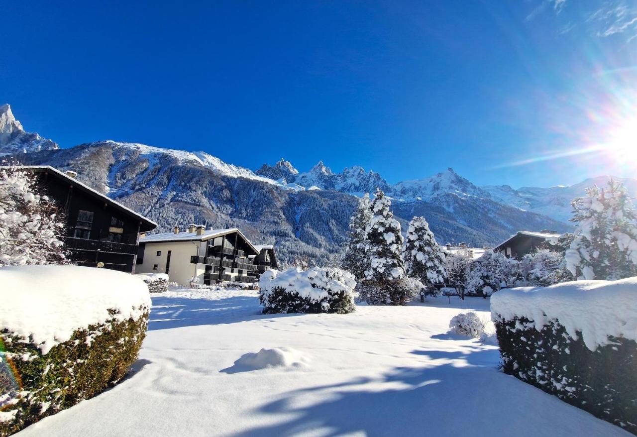 Chamonix Appartement Vue Mont Blanc Avec Jardin 外观 照片